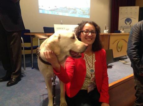 ‘Comunicar discapacidad en la red’ triunfa en Oviedo ante los periodista sanitarios de @anisalud ‘Comunicar discapacidad en la red’ triunfa en Oviedo ante los periodista sanitarios de @anisalud