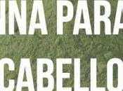 Henna, opción natural para tinturar cabello.