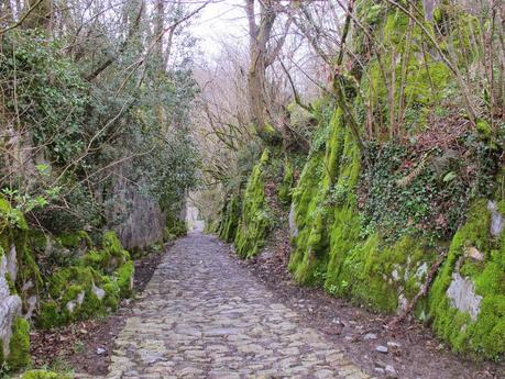 Caminos de piedras......