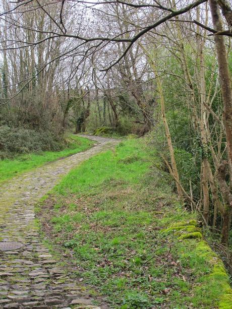 Caminos de piedras......