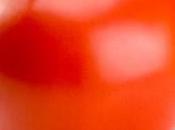 rincón moda: Tomate para piel