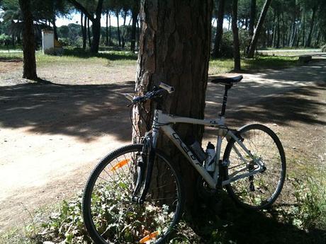 13486433854_69906b0059_o_opt