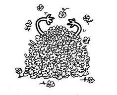 flores3