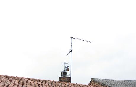 la vida contemplativa...