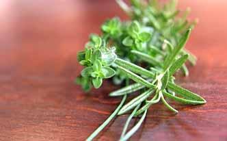 Tomillo para los mocos de los niños Tomillo para los mocos de los niños