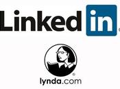 LinkedIn entra sector e-learning Lynda
