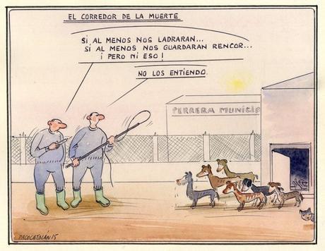 Vida de perros o perrera municipal (Paco Catalán)