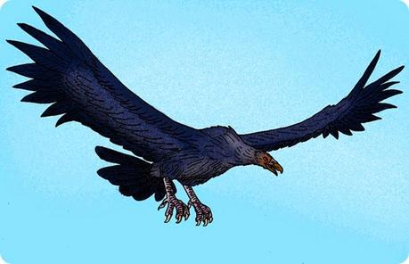 Argentavis magnificens, una de las mayores aves voladoras prehistóricas de la que se tiene conocimiento.