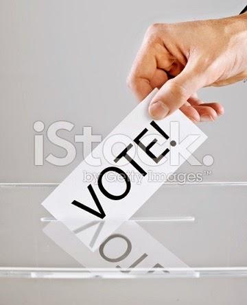 Programa electoral de la Maru