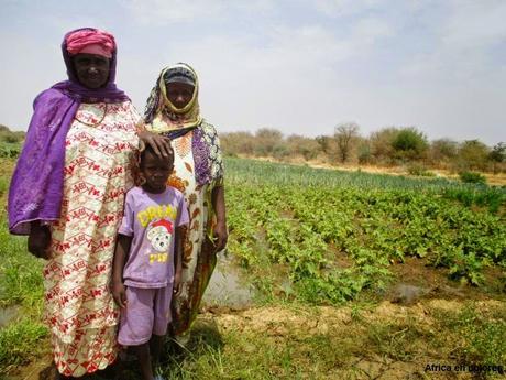 305. Se buscan Fashion Victims