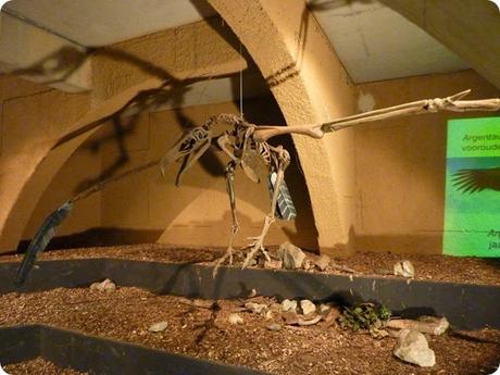 Argentavis Magnificens, un verdadero coloso del aire.