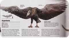 Argentavis Magnificens, un verdadero coloso del aire.
