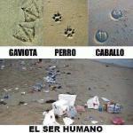 1472982_487940091321337_260910793_n