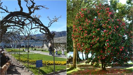 lago orta desdeesteladodemimundo.blogspot.it