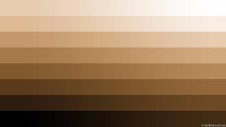 La historia del color carne