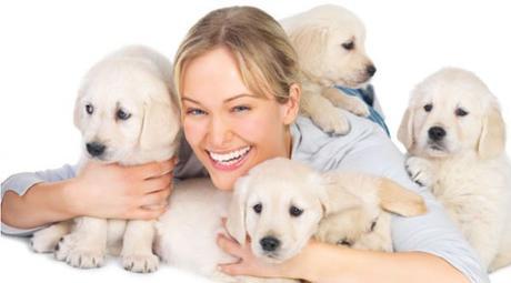 ventajas-animales-hogar