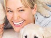 Beneficios tener mascota casa