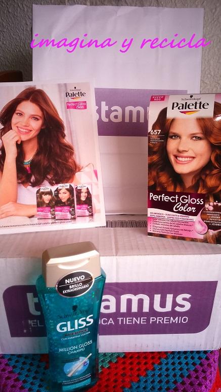 Probando Palette Perfect Gloss Color