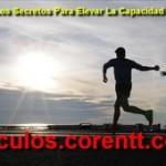 Descubre los secretos para elevar tu capacidad de trabajo