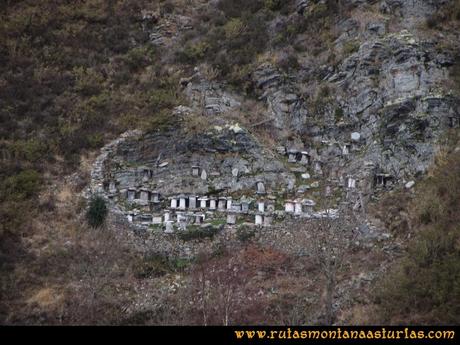 Cortín de panales de abejas