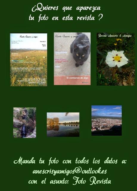 Revista Anescris y amigas Emisión 4