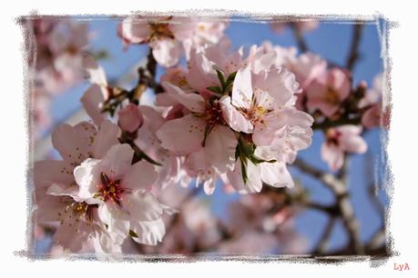 Recetas de primavera.