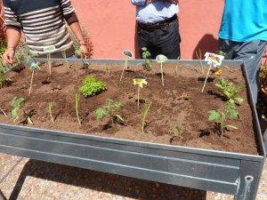 Así fue nuestro taller de cultivo urbano en Estraperlo. SAM_2312