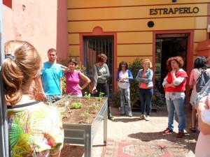 Así fue nuestro taller de cultivo urbano en Estraperlo. SAM_2318