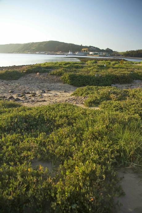 Consecuencias inocuas