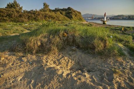 Consecuencias inocuas