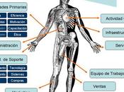 Anatomía Empresa. ¿Cómo diagnosticar enfermedades?