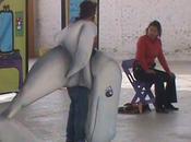 “Moby Poeta Ballena” presentará plantes escolares