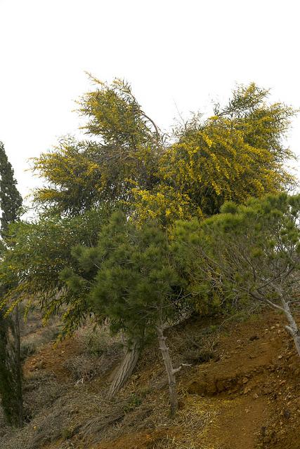 Parque Minero de la Unión
