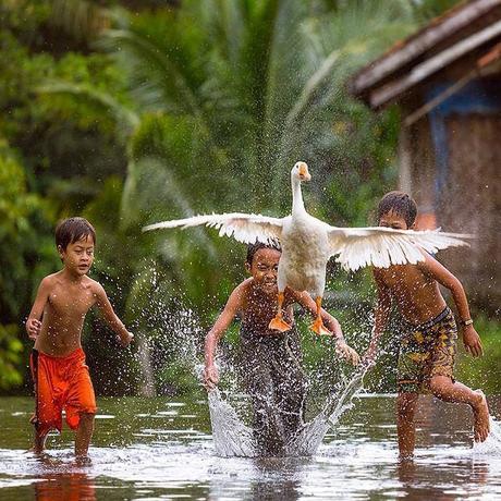 10982846_10203604696704883_7014007996799555619_n