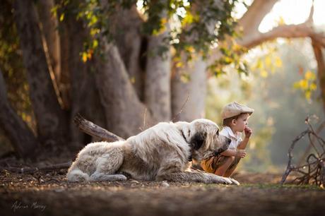 1504192_626530164145483_3166889666978354789_o