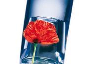 Cofre exclusivo años Flower Kenzo