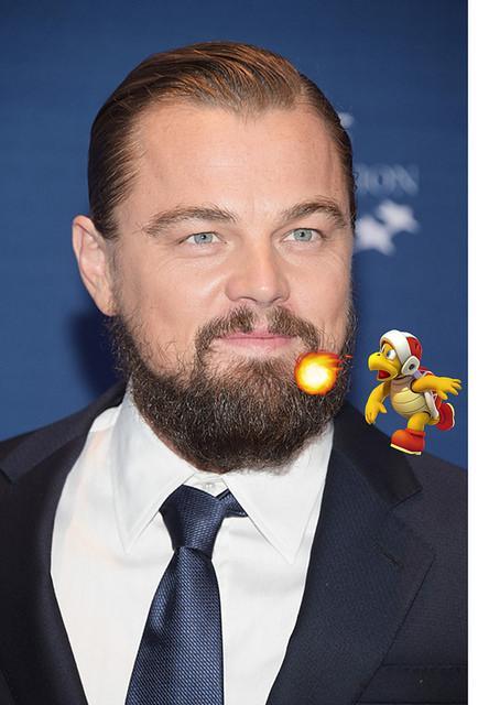 Famosos a la hoguera leonardo di caprio hoguera