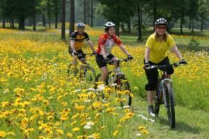 Alabama, Birmingham, Oak Mountain State Park, mountain bicycles, wild flowers,