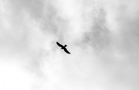 street style barbara crespo acantilados de langre santander cantabria village leopard coat adidas hakei fashion blogger outfit hake blog de moda street style barbara crespo acantilados de langre santander cantabria village leopard coat adidas hakei fashion blogger outfit hake blog de moda