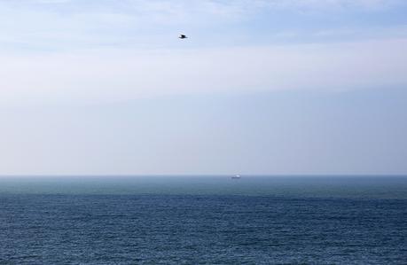 street style barbara crespo acantilados de langre santander cantabria village leopard coat adidas hakei fashion blogger outfit hake blog de moda street style barbara crespo acantilados de langre santander cantabria village leopard coat adidas hakei fashion blogger outfit hake blog de moda