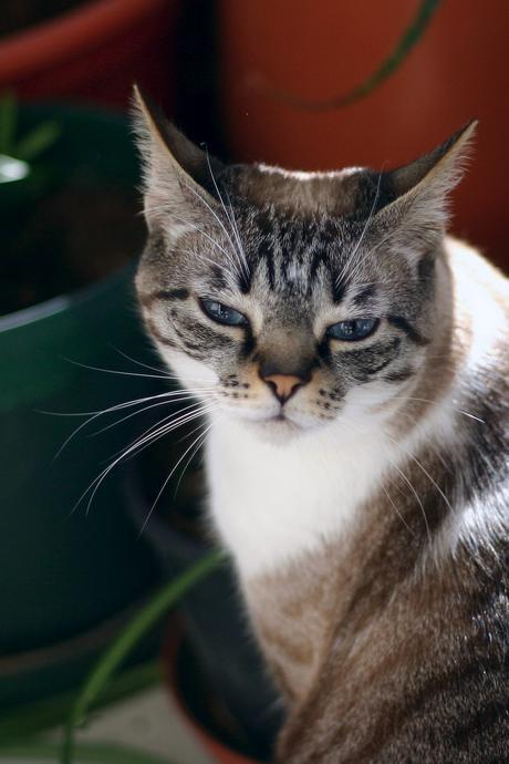 cata & toñita_16_20140513 - Version 2