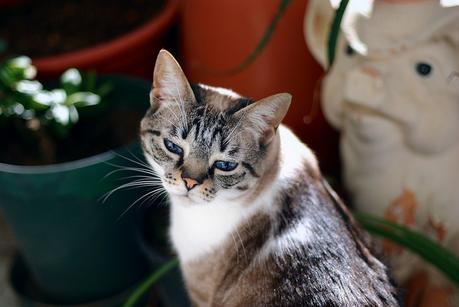 cata & toñita_15_20140513 - Version 2