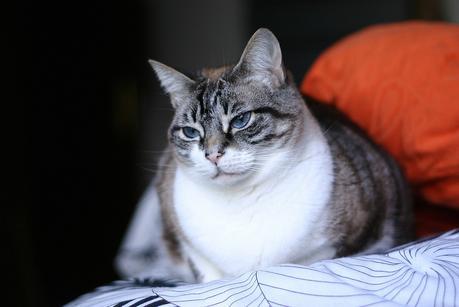 cata & toñita_27_20140522 - Version 2