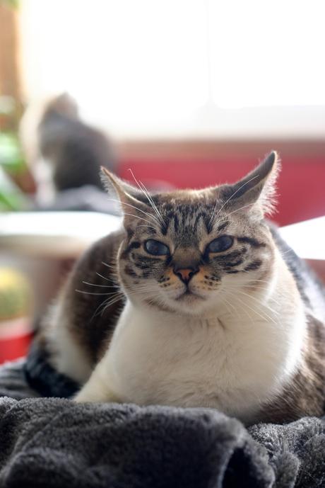 cata & toñita_42_20140522 - Version 2