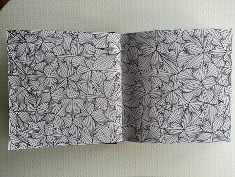 Dibujando en el cuaderno +Sketchbook _11022015