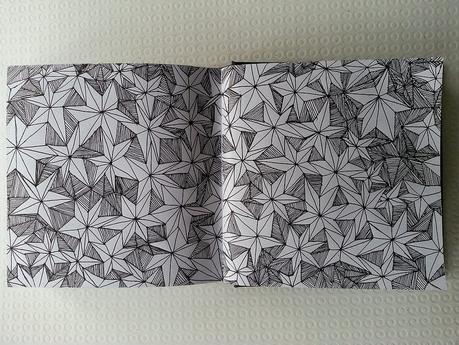 Dibujando en el cuaderno Sketchbook_11022015