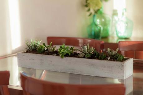 DIY Mi centro de mesa con suculentas/ My Diy Succulent Centerpiece DIY Mi centro de mesa con suculentas/ My Diy Succulent Centerpiece