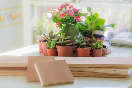 DIY Mi centro de mesa con suculentas/ My Diy Succulent Centerpiece DIY Mi centro de mesa con suculentas/ My Diy Succulent Centerpiece