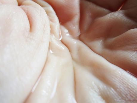 Tónico Facial Hidratante y la Crema Hidratante Intensiva 24H de la línea Pyrus Cydonia de KIVVI COSMETICS