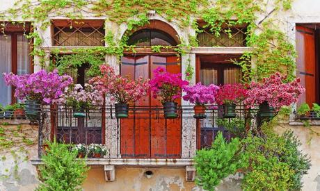 8 flores perfectas para balcones 